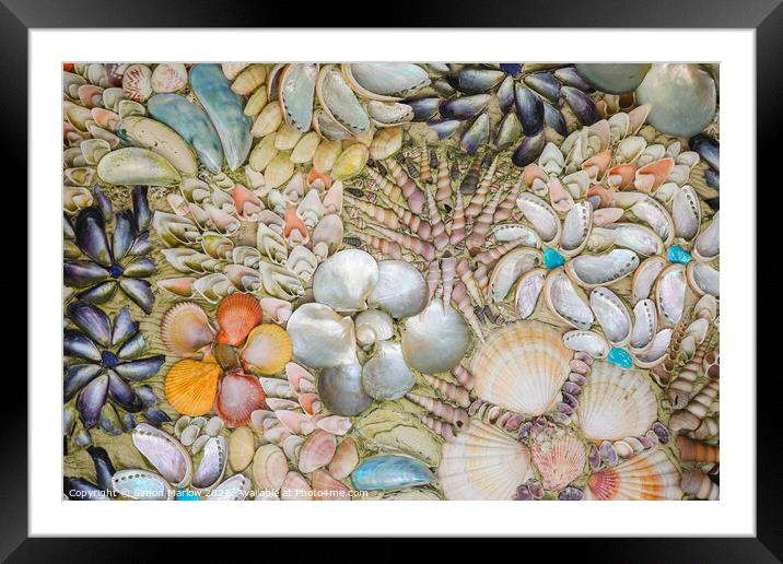 A Collection of Aquatic Treasures Framed Mounted Print by Simon Marlow