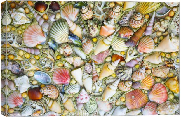 Oceans Treasures Canvas Print by Simon Marlow