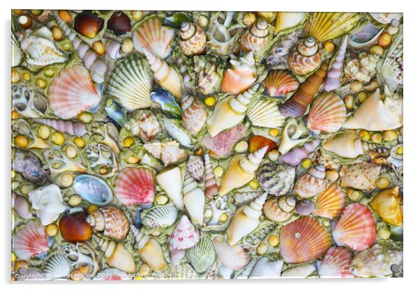 Oceans Treasures Acrylic by Simon Marlow