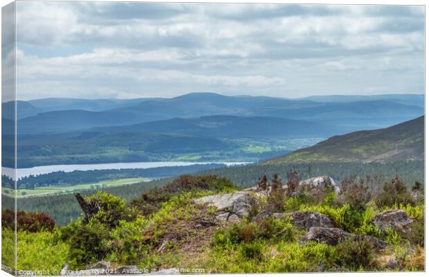 Across Loch Insh to the Cairngorms Canvas Print by Jaxx Lawson