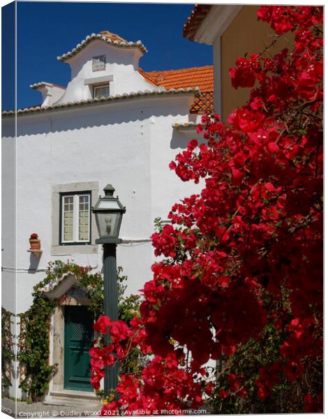 Vibrant Bougainvillea in Cascais Canvas Print by Dudley Wood