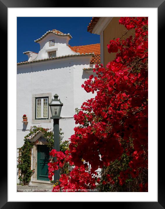 Vibrant Bougainvillea in Cascais Framed Mounted Print by Dudley Wood
