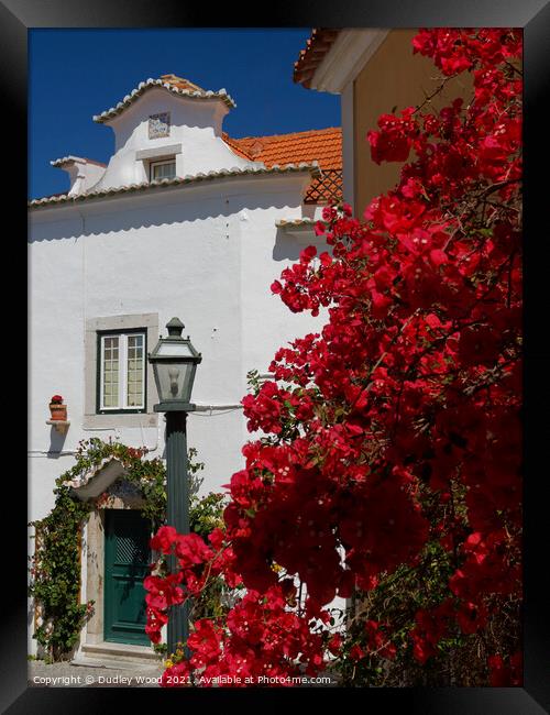 Vibrant Bougainvillea in Cascais Framed Print by Dudley Wood