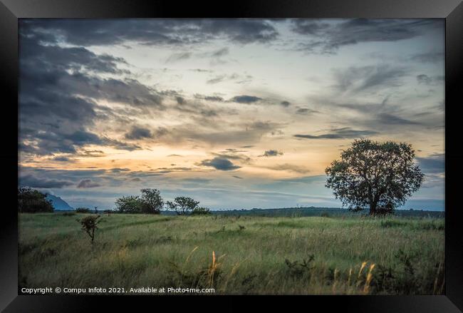 evening landscape in south africa Framed Print by Chris Willemsen