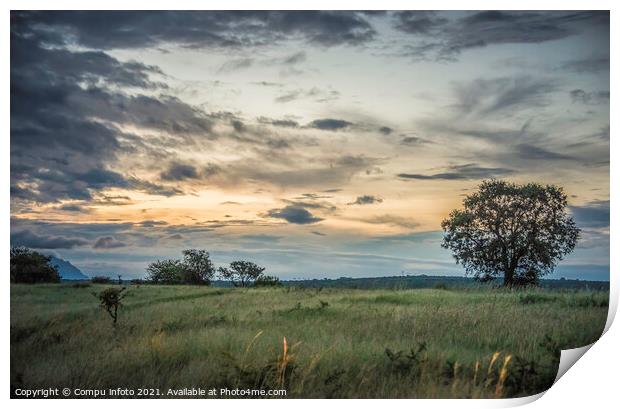 evening landscape in south africa Print by Chris Willemsen