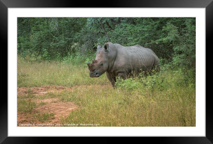 white rhino at the kruger park Framed Mounted Print by Chris Willemsen