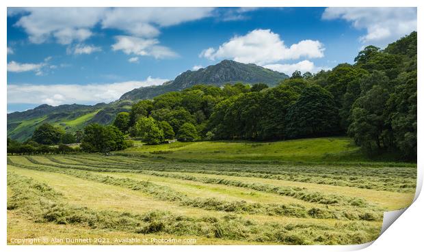 Harter Fell on a summers day at harvest Print by Alan Dunnett