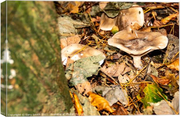Pennybun Mushroom Fungi Canvas Print by GJS Photography Artist