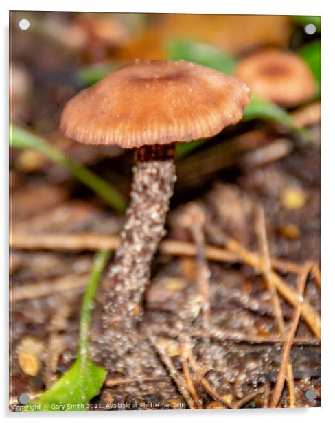 Chanterelle Mushroom Fungi Acrylic by GJS Photography Artist