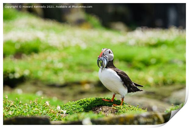 Puffin with Sandeels catch Print by Howard Kennedy