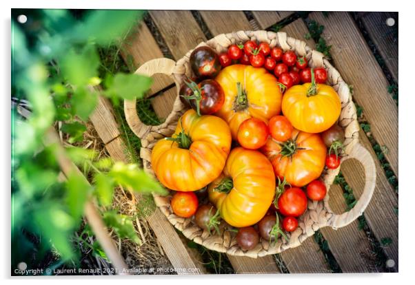 Harvest of red and orange tomatoes Acrylic by Laurent Renault