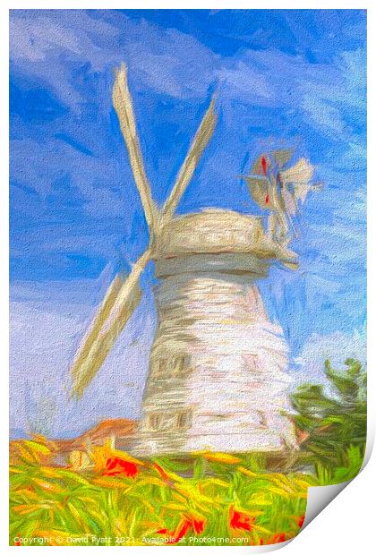 Windmill Of Dreams Art Print by David Pyatt
