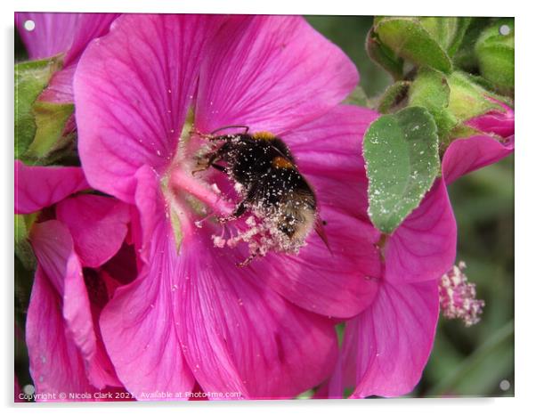 The Buzzing Bee Acrylic by Nicola Clark