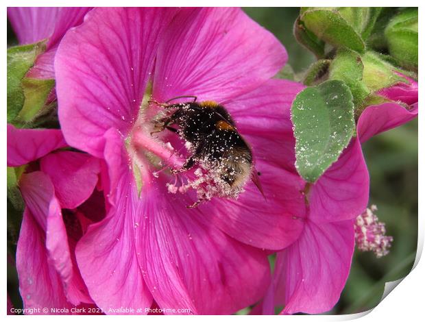 The Buzzing Bee Print by Nicola Clark