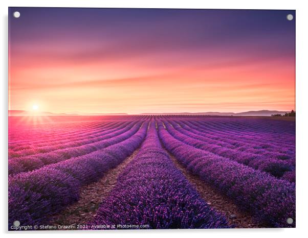 Lavender fields at sunset. Provence, France Acrylic by Stefano Orazzini