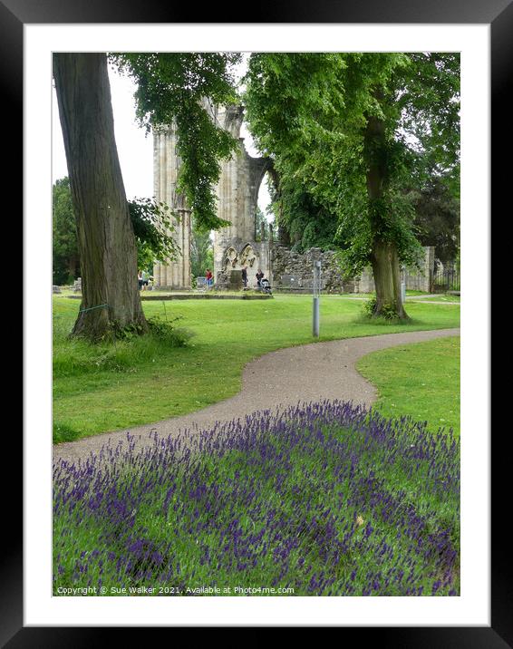 St Mary’s Abbey, York Framed Mounted Print by Sue Walker
