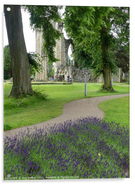 St Mary’s Abbey, York Acrylic by Sue Walker