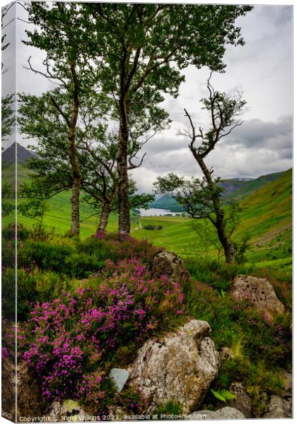 Natural Flora, Lake District Canvas Print by Nigel Wilkins