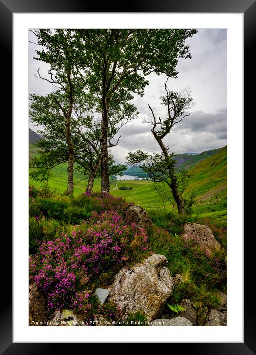 Natural Flora, Lake District Framed Mounted Print by Nigel Wilkins