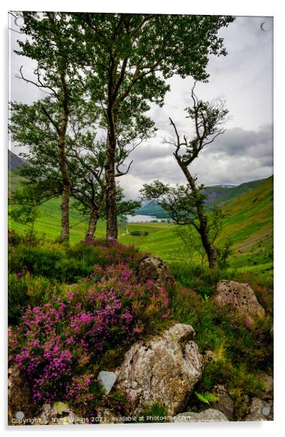 Natural Flora, Lake District Acrylic by Nigel Wilkins