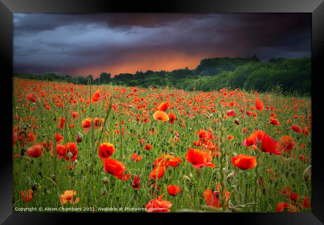 Poppy Field Fading Storm Framed Print by Alison Chambers