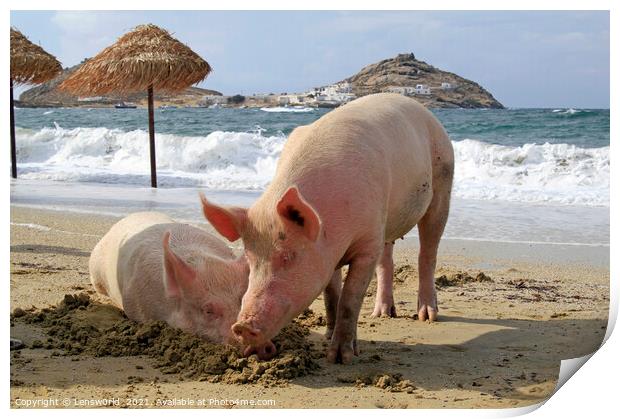 Two pigs relaxing at the beach - Mykonos, Greece Print by Lensw0rld 