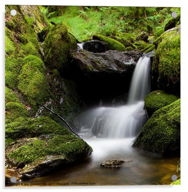 Hafod Falls Acrylic by Izzy Standbridge