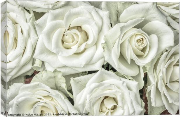 White Roses HDR Canvas Print by Helkoryo Photography