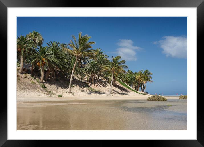 Coconut Palms at the Sotavento Lagoon, Fuerteventura Framed Mounted Print by Ashley Wootton