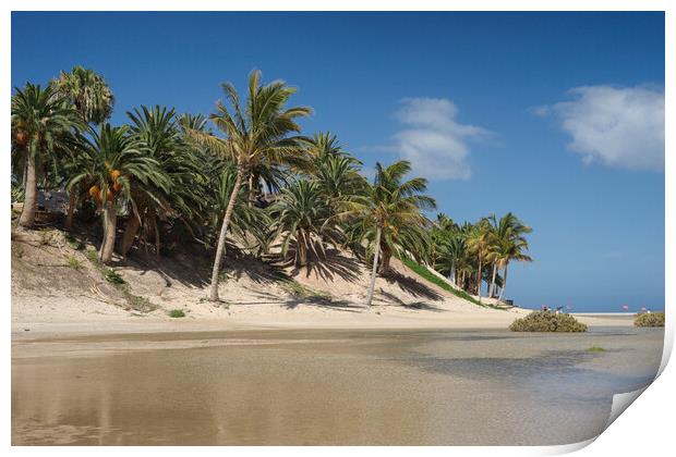 Coconut Palms at the Sotavento Lagoon, Fuerteventura Print by Ashley Wootton