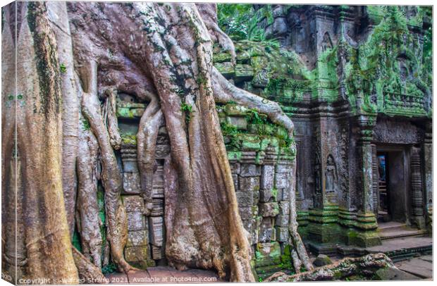 a Prohm the tomb raider temple in Angkor Cambodia Asia	 Canvas Print by Wilfried Strang