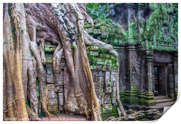 a Prohm the tomb raider temple in Angkor Cambodia Asia	 Print by Wilfried Strang