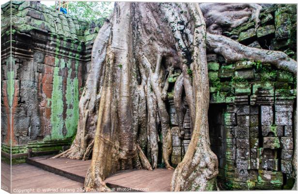 Ta Prohm the tomb raider temple in Angkor Cambodia Asia	 Canvas Print by Wilfried Strang