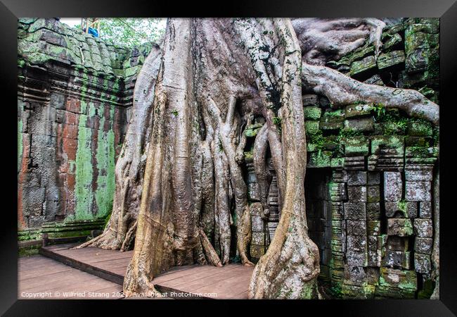 Ta Prohm the tomb raider temple in Angkor Cambodia Asia	 Framed Print by Wilfried Strang