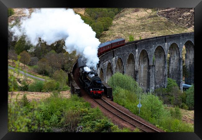 Glenfinnan viaduct steam train Framed Print by stuart bingham