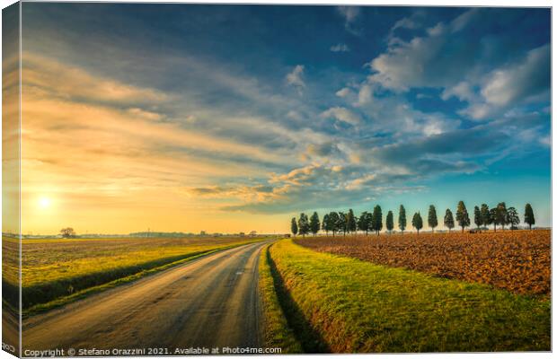 Rural Road and Cypresses. Tuscany Canvas Print by Stefano Orazzini