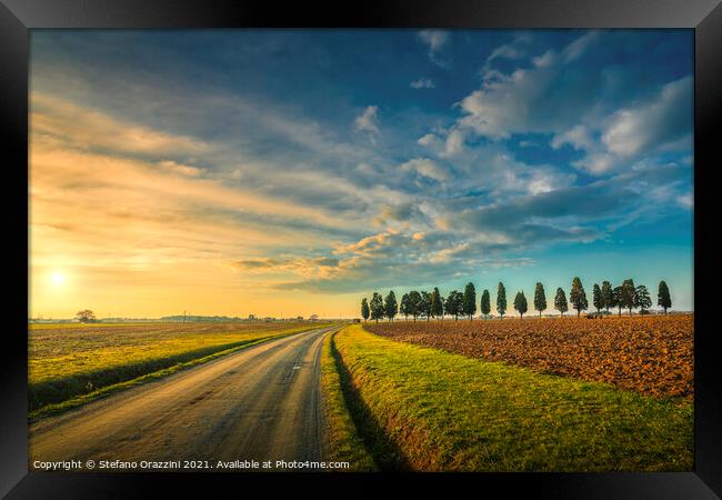 Rural Road and Cypresses. Tuscany Framed Print by Stefano Orazzini