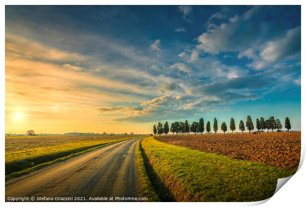 Rural Road and Cypresses. Tuscany Print by Stefano Orazzini