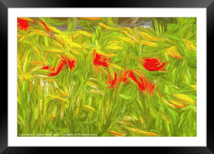 Poppy Abstract Art Framed Mounted Print by David Pyatt