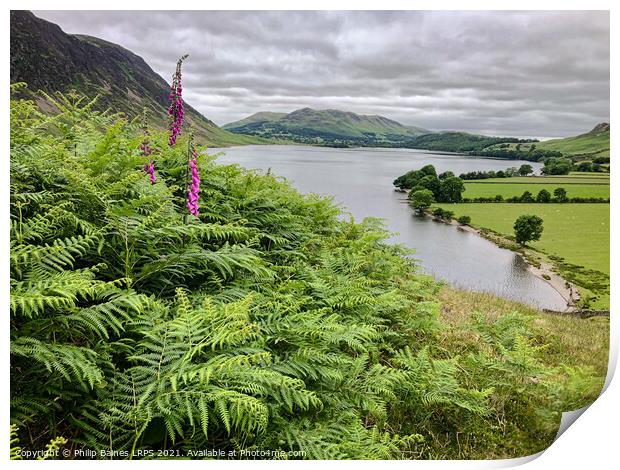 Crummock Water Print by Philip Baines