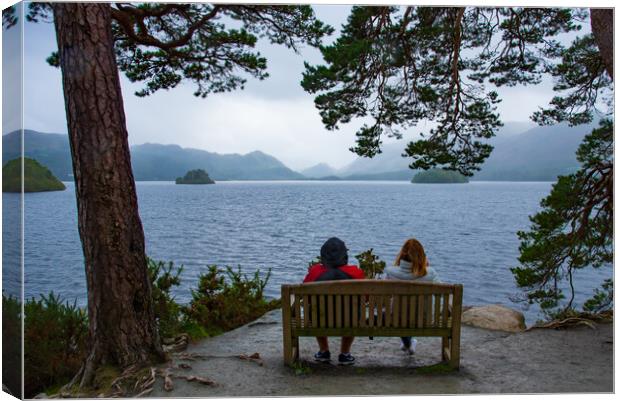Seat with a view at derwent water Canvas Print by stuart bingham
