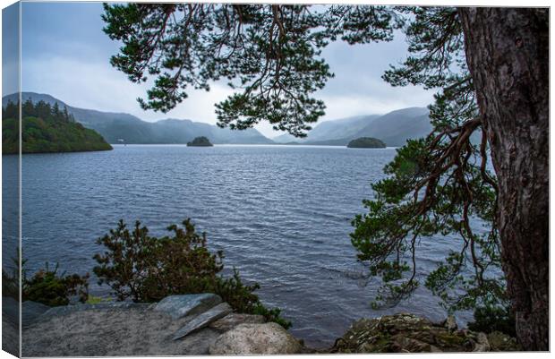 Friar's crag derwent water Canvas Print by stuart bingham