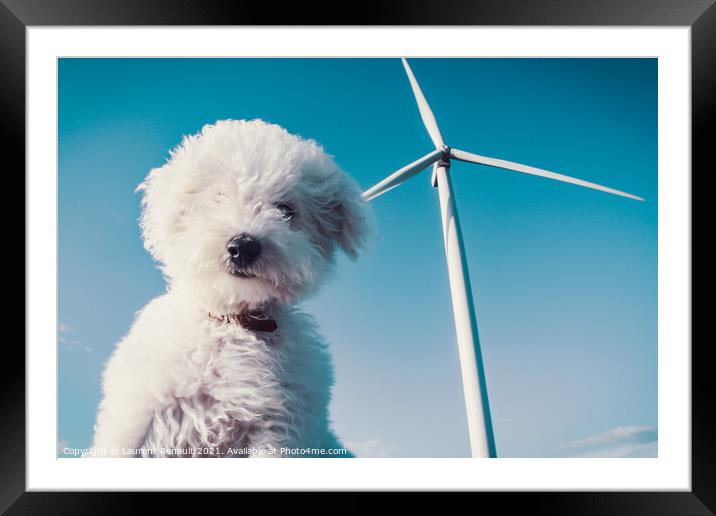 White dog and wind turbine for a clean concept Framed Mounted Print by Laurent Renault