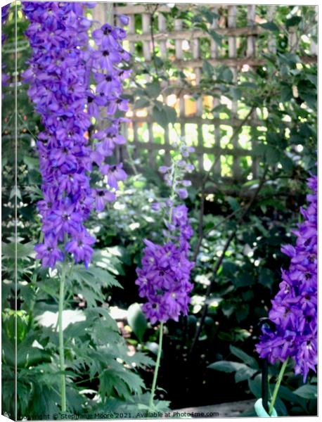 Delphiniums Canvas Print by Stephanie Moore