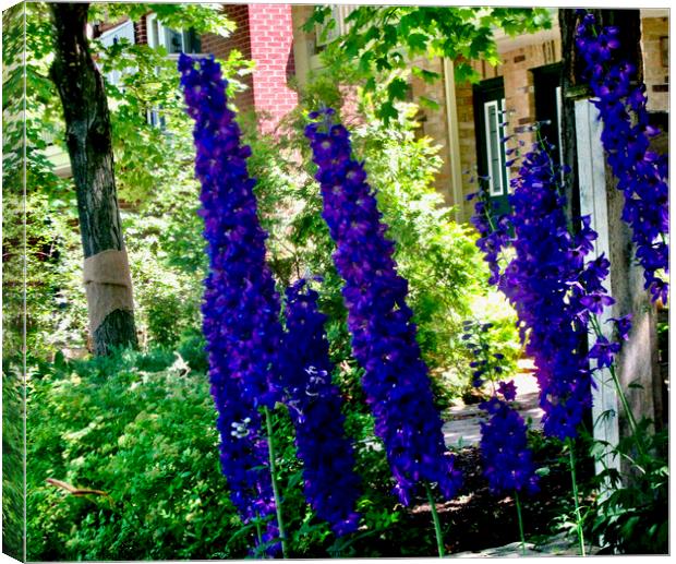 Stately delphiniums Canvas Print by Stephanie Moore