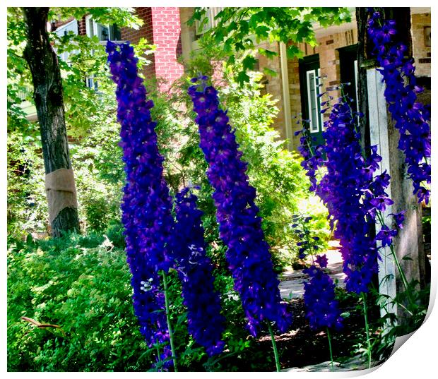 Stately delphiniums Print by Stephanie Moore