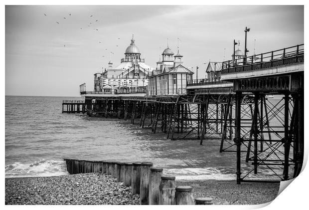 Eastbourne pier and beach Print by stuart bingham