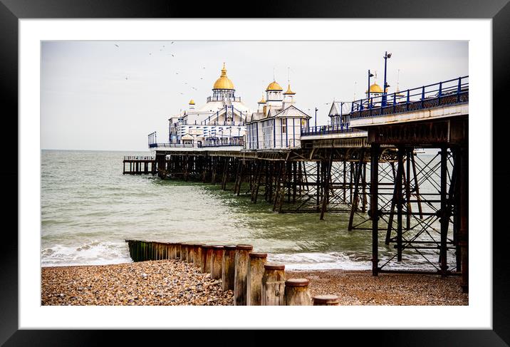 Eastbourne pier and beach Framed Mounted Print by stuart bingham