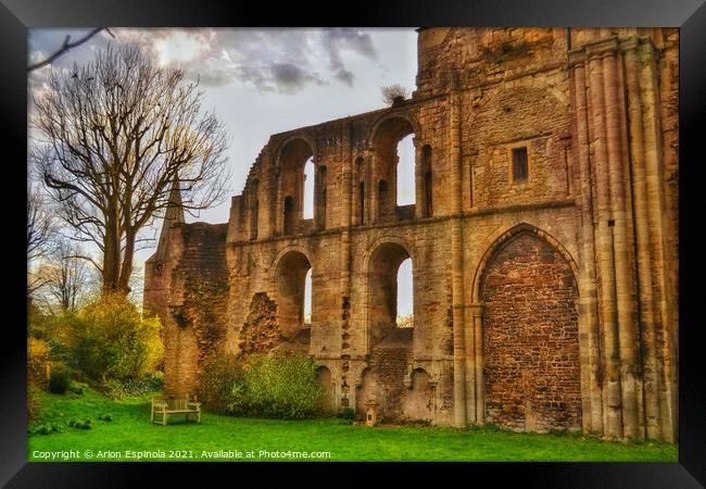 The ancient Abbey Framed Print by Arion Espinola