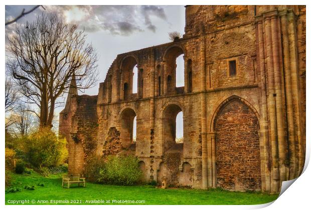 The ancient Abbey Print by Arion Espinola